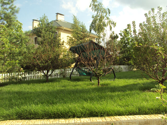 Посадка лиственных крупномеров