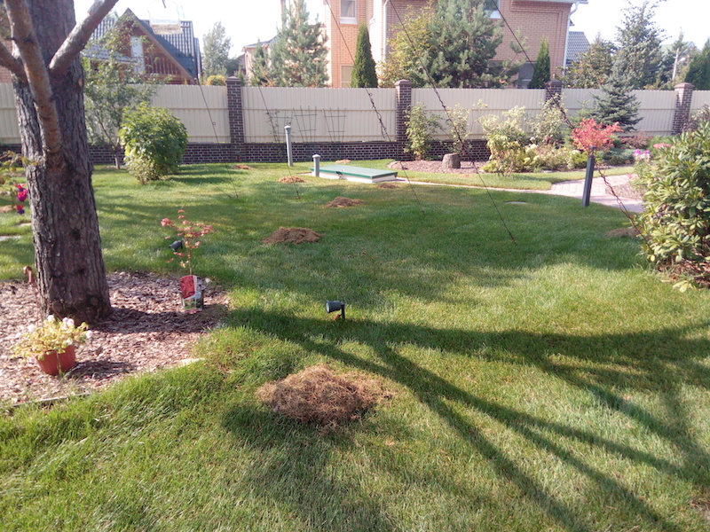 Обслуживание территории